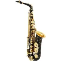 Selmer Serie III ALTO SAX JUBILEE BLACK LACQ  саксофон альт Eb проф. , чёрный лак с гравир. , с кейсом