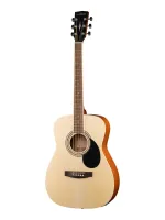 Parkwood PF51E-WBAG-OP - Электроакустические гитары
