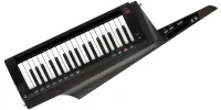 KORG RK100S-2 BK программируемый аналоговый синтезатор-клавитара