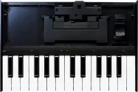 ROLAND K-25m 25-клавишная, чувствительная к нажатию клавиатура