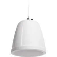 AD-P.SUB-WH / 6.5" сабвуфер с двойной катушкой, трансформатор 70/100В с перекл. 4Ω, белый / QSC
