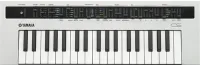 Аналоговый синтезатор Yamaha REFACE CS //E