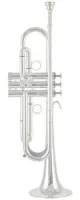 Труба Bb BandS Prestige BSMBX2LR-2-0D