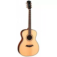 Гитара акустическая Parkwood P820 с кейсом