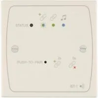 CLOUD BT-1FW Bluetooth-плата входов. Цвет белый