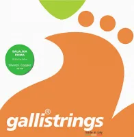 GALLI STRINGS FG018 - струны для балалайки прима, 3 струны, .012 - .041w- .041w (A/E/E)