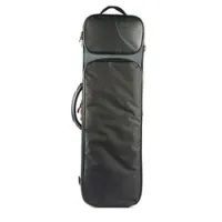 BAM 2003SNG  CLASSIC скрипичный (3/4 - 1/2) кейс
