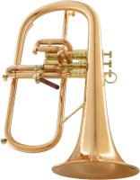 Флюгельгорн CarolBrass CFL-9990-RSS-Bb-L