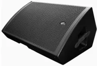 DAS AUDIO SML-15 Пассивный двухполосный сценический монитор, 15" динамик (15LN/GM 15P)