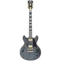D'angelico excel mini dc black dog  полуакустическая гитара с кейсом, цвет черный