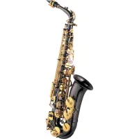 J. Michael AL-800B Саксофон альт Eb, черный, с ABS кейсом