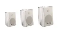DSPPA WL-313W 2-х полосный, полнодиапазонный громкоговоритель мониторного типа, 40Вт/100В, 70Гц-20 000Гц, белый