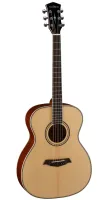 Parkwood P620 - Дредноуты