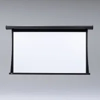 Draper Access/E HDTV (9:16) 338/133" 165*295 XT1000E (MW) - Моторизированный экран