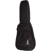 FENDER METRO SEMI HOLLOW BASS BAG - Чехол для бас-гитары