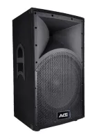 TA-12 Пассивная акустическая система, 300Вт, Ace Audio