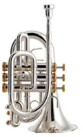 Pocket trumpet Bb Stomvi Forte 5009 - Карманная труба в строе си-бемоль для эстрадного исполнения и для домашнего музицирования. Хорошая интонация, яркий звук и быстрый отклик.
