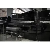 Sauter peter maly edition pure basic 122 black polished  дизайнерское пианино, 122, черный