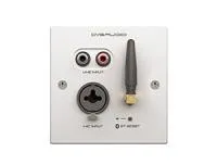 CVGAUDIO PW/EX-IN/W - Настенная панель для удаленного подключения балансного микрофона MIC IN, небалансного линейного сигнала 2RCA, Bluetooth с внешней антенной, передача отдельно сигналов MIC IN и LINE IN + Bluetooth на расстояние до 100m, светлый алюмин