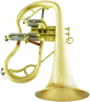 Флюгельгорн CarolBrass Legendary CFL-7200-GSS-Bb-SL
