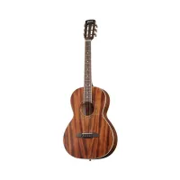 Framus FP 14 ME NS  акустическая гитара, Parlor, массив махогани\махогани, Fishman, гриф - махогани