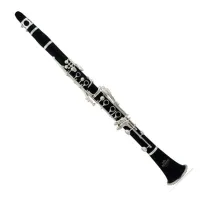 Roy Benson CB-417 Bb Кларнет