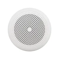 Ecler eIC52MS- 5'' двухполосная встраиваемая акустическая система, 20-40 Вт – 8 Ом
