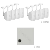 AVCLINK MEDIUM/SW Состав комплекта: ATEO2SD/W 8 штук + C-BASS 1 штука белого цвета.