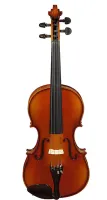 A100-15,0 Rhapsody Student Альт студенческий, Hora