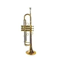 Труба Schagerl Academica Signature James Morrison Large Bore JM1X-L Bb