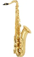 Саксофон-тенор Selmer Jubilee SA80II BGGGO