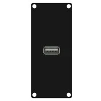 Caymon CASY161/B Модуль CASY снабжен гнездом USB 2.0 A с обеих сторон модуля.