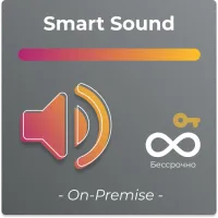 SmartPlayer Smart Sound On-Premise - Воспроизведение аудио и управление фоновым звуком / бессрочная лицензия On-Premise