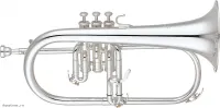 Флюгельгорн YAMAHA YFH-631GS