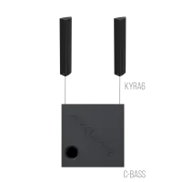 AVCLINK BUSINESS/B Состав комплекта: KYRA6/B 2 штуки + C-BASS 1 штука черного цвета.