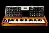 MOOG Voyager Performer Edition - Синтезатор аналоговый