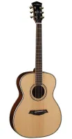 Parkwood P820ADK-WCASE-NAT - Электроакустические гитары