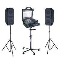 ZH25DM Комплект акустической системы, микшер, усилитель, кабинет, 2х100Вт, Soundking