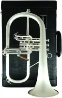 Флюгельгорн CarolBrass CFL-6200-GSS-Bb-SSLB(PIB)-L