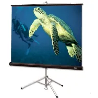 Экран Diplomat NTSC (3:4) 153/60" (5') 88*118 CH3200E (GB)