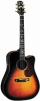 Акустическая гитара Peerless PD-70CE