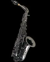 Cannonball GA5-B Gerald Albright Signature Series SALE  саксофон-альт профессиональный