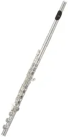Flute Pearl Quantz 50th Anniversary PF-665RE-W/50A - Студенческая модель выпускается в 2018 году в честь 50-летия флейт Pearl. Не в линию, открытые клапаны, ми-механика, до-колено. Серебряная головка с губками из американского палисандра цирикоте, особая