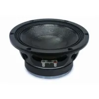 JBL 339111-001X  СЧ драйвер 2169H для серии STX800