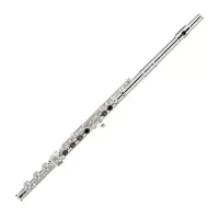 Флейта Sankyo Etude CF-201-RB, B-колено, открытые клапаны