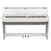 Цифровое фортепиано EMILY PIANO  D-54 WH