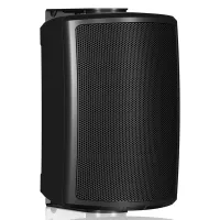 TANNOY AMS 5DC - пассивная акустическая система, 60 Вт, 16 Ом , трансформатор 70В/100В, 90Гц-30 кГц