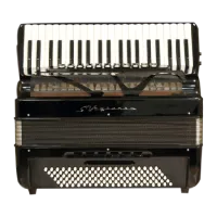 Аккордеон  SVOYTENKO ACCORDIONS P120 convertor