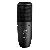 Akg P120 3101h00400