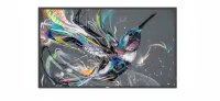 Philips 86BDL3511Q/00 - Профессиональный дисплей 86" Q-Line; 18/7, 4K UHD, USB auto play, CMND andControl, Smart Player, LAN